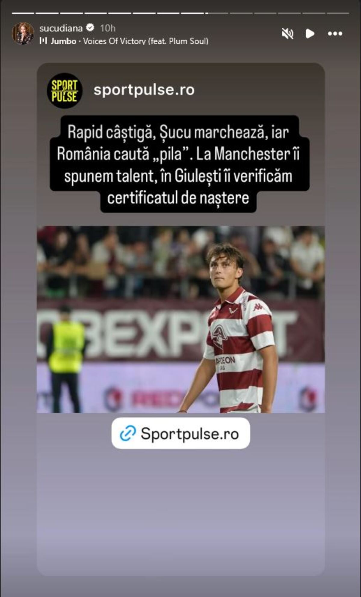 %George Robert Voinea - opinii despre actualitatea sportivă din România% diana sucu story