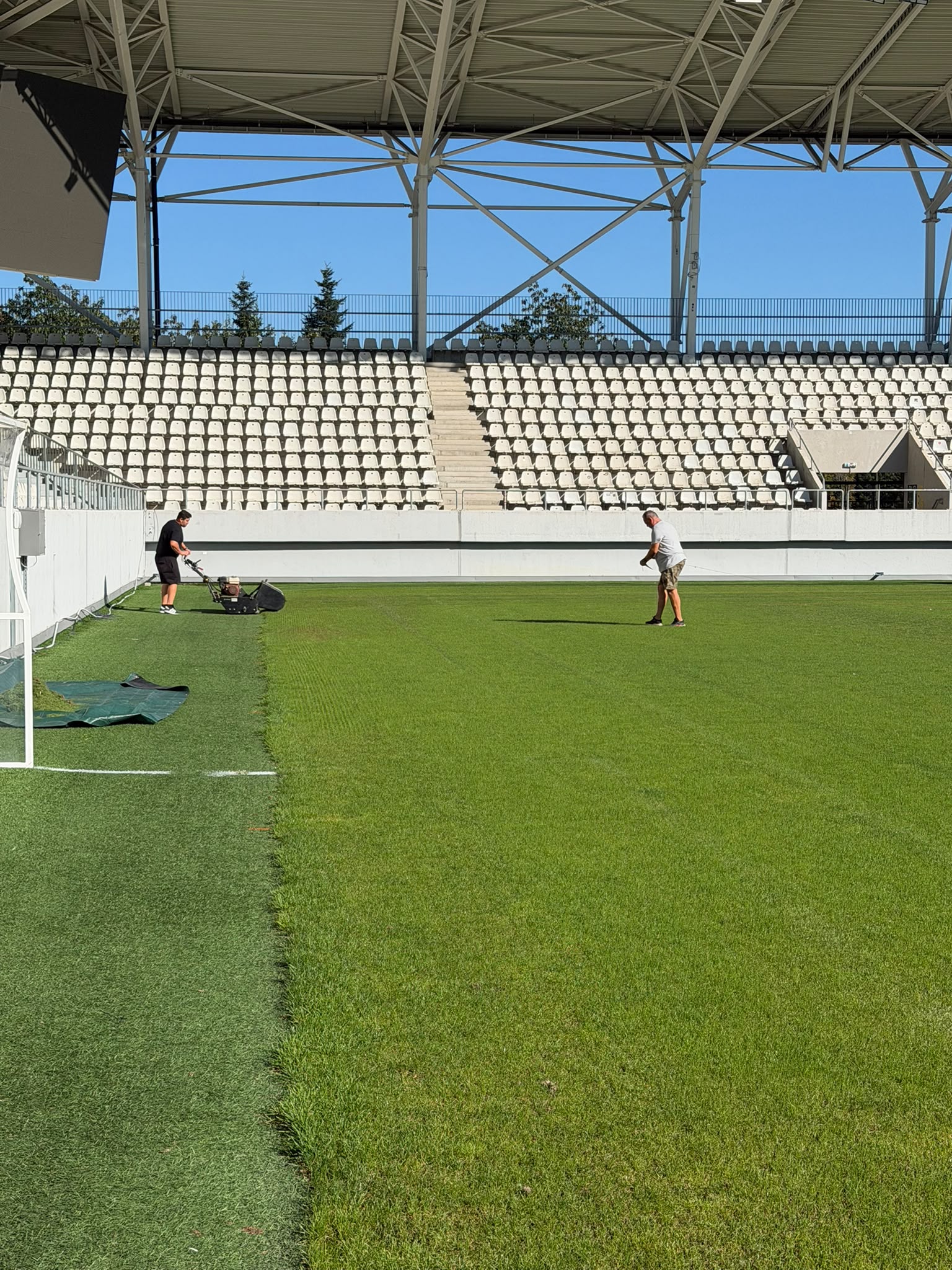 Dinamo - FCSB, LIVE VIDEO în SuperLiga, etapa 8